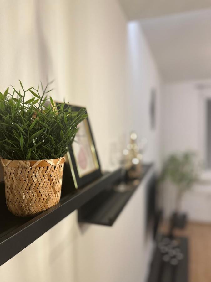 Apartment Spani Na Paletach Kousek Od Centra Hradce Kralove
